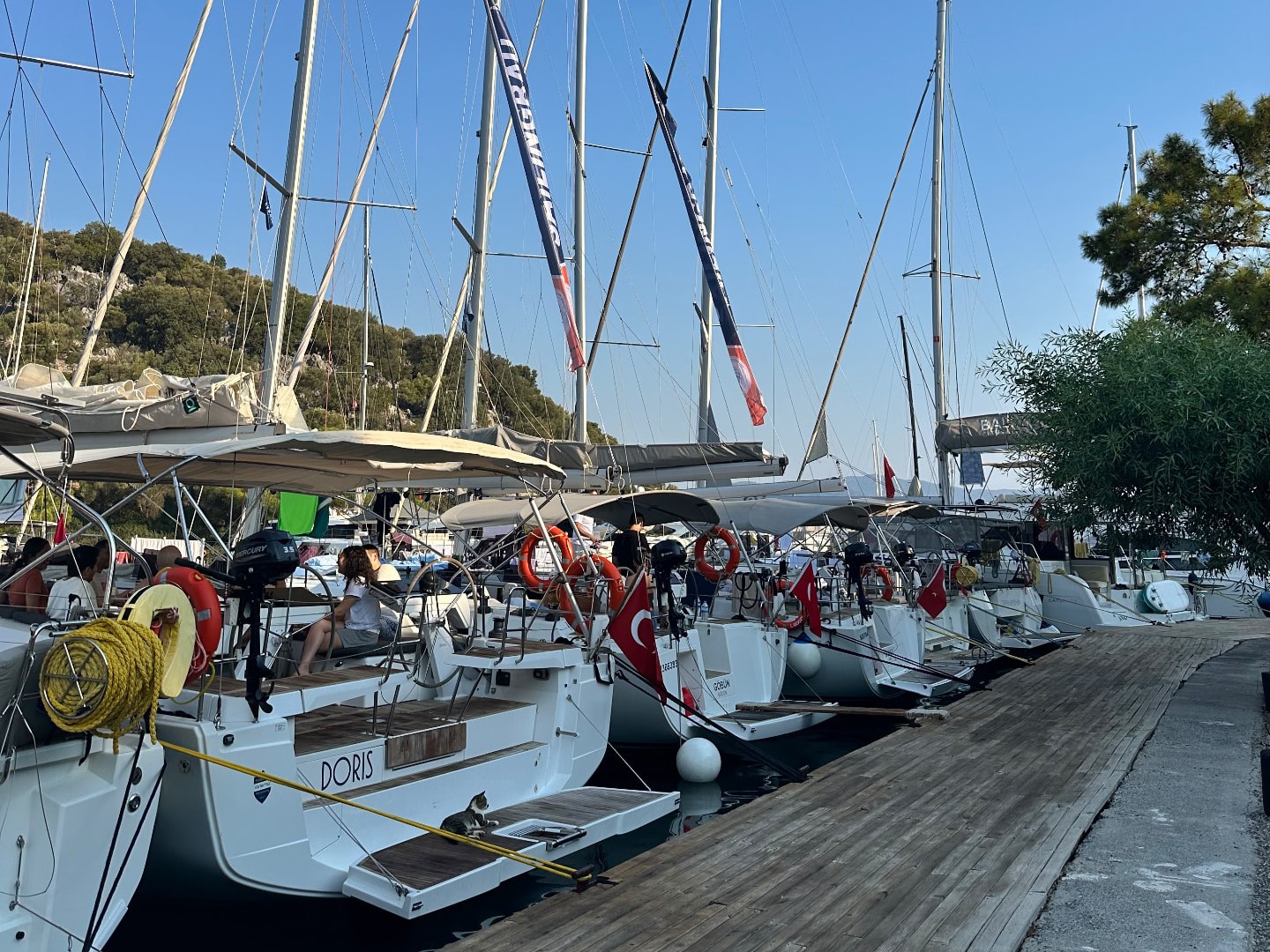 Marinada yanyana demirli yelkenli yatlar